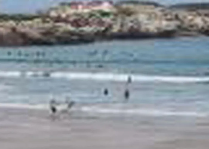 Brandneue Strandwohnung 1 By Interhome * Ferrel (Leiria)